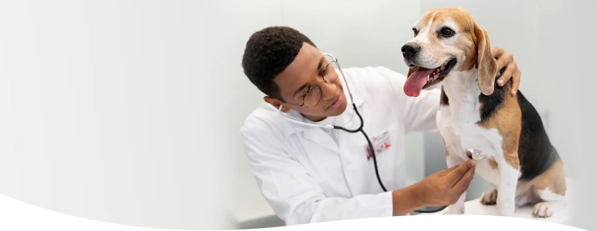 Veterinary Diagnostic Equipment