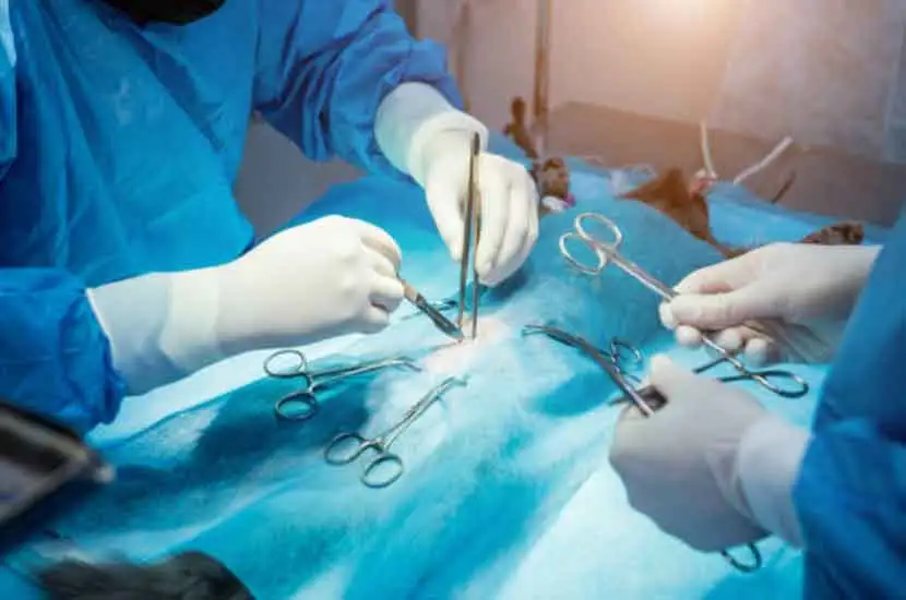 What is Veterinary Surgical Equipment?