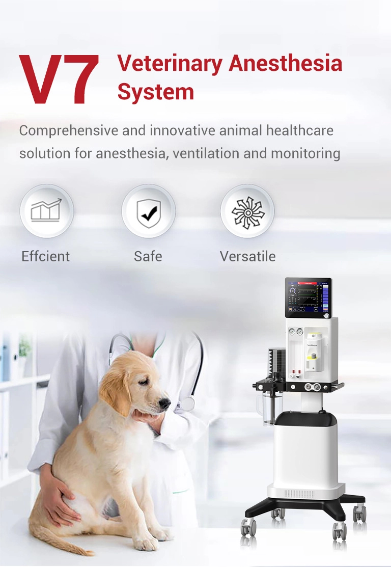 V7 Animal Anesthesia System
