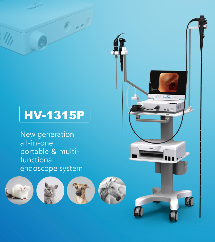 Specification of Diagnostics Apparatus 1315P